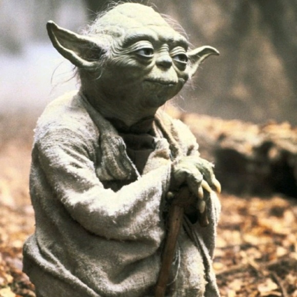 Meet your Posher, Clayton - Picture 1 of 1